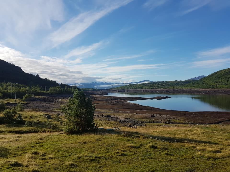 Naturen rundt Silsethytta