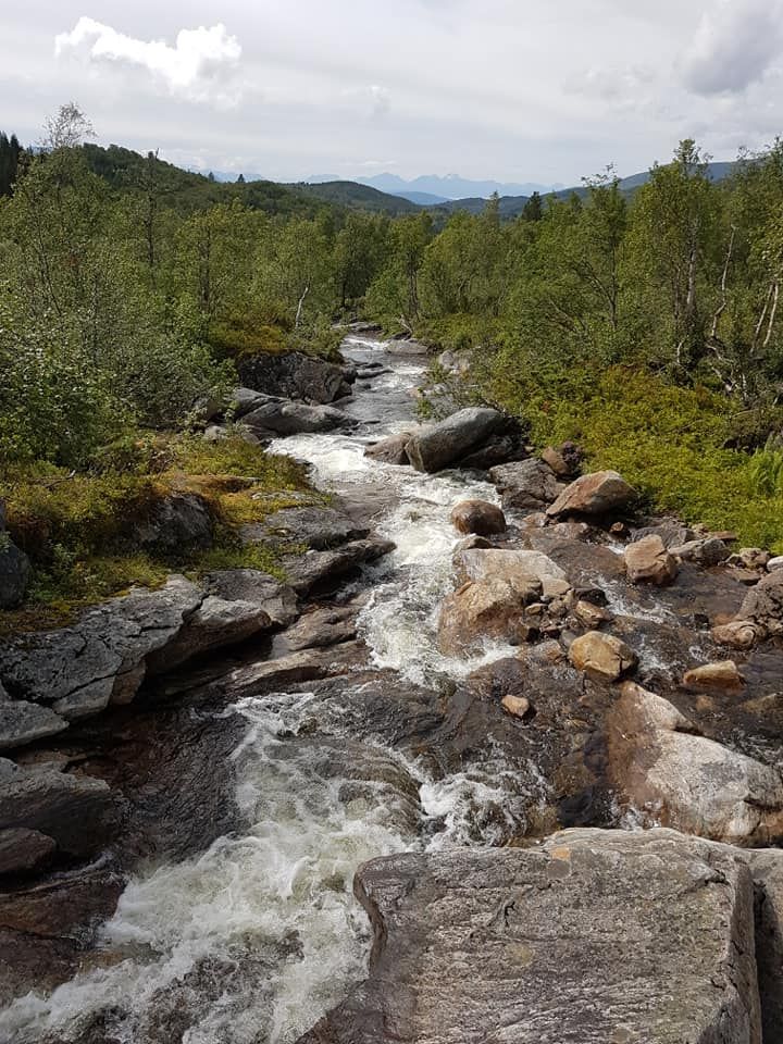 Naturen utenfor Silsethytta, elv, stein og skog