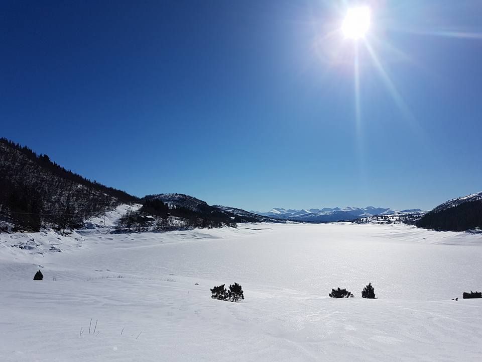 Naturen rundt Silsethytta om vinteren